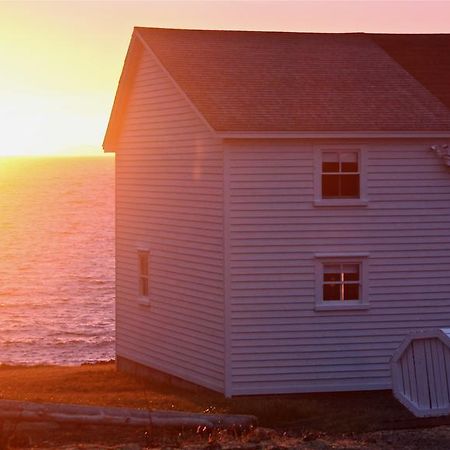 Вілла The Old Salt Box Co. - Grandma Lilly'S Fogo Island Екстер'єр фото