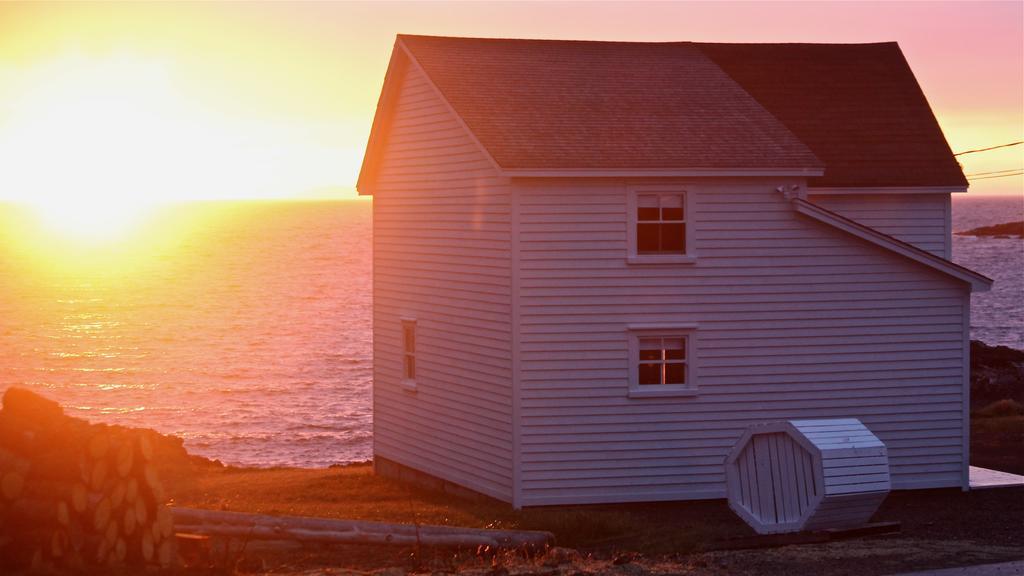 Вілла The Old Salt Box Co. - Grandma Lilly'S Fogo Island Екстер'єр фото